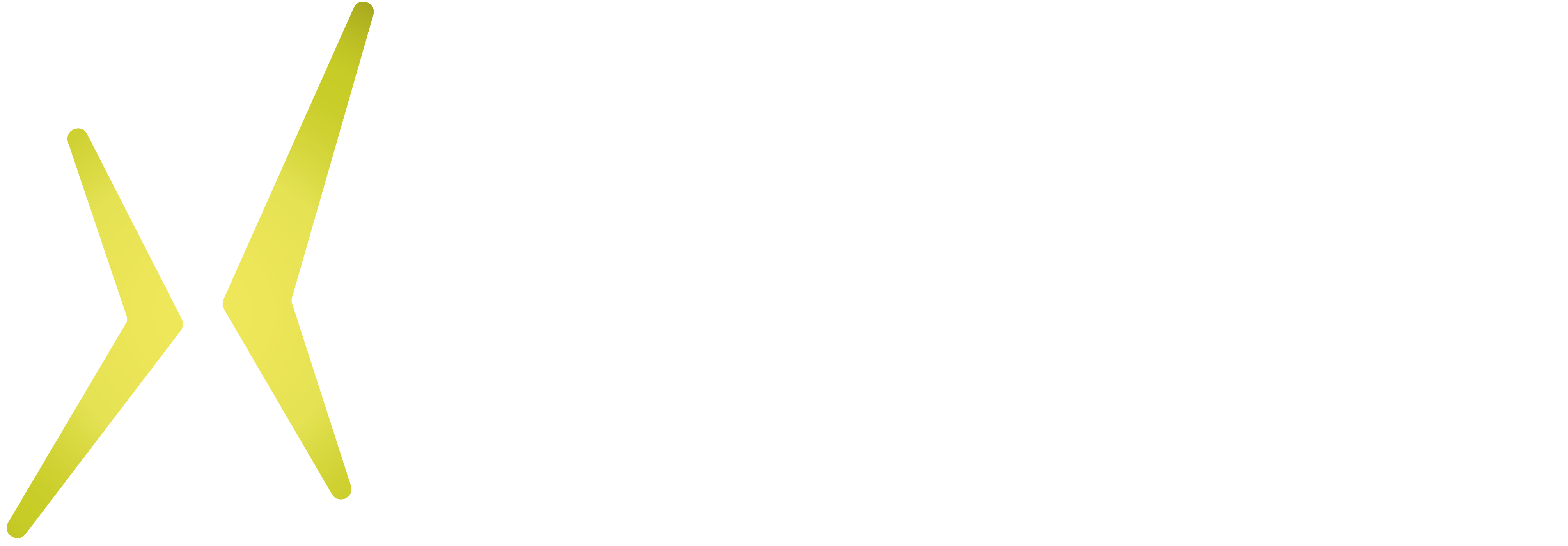 STEEREON E-Scooter